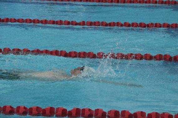 image-20240812163831-13